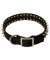 Black Spiked Nylon Siberian Husky Collar