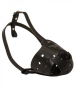 Leather Siberian Husky Muzzle for Everyday Use