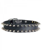 Fancy Spiked Leather Dog Collar for Siberian Husky Walking in Style