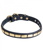 Leather Dog Collar for Siberian Husky Walking In Style