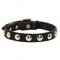 Elegant Leather Husky Collar with Nickel Plated Half-Balls