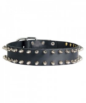 Fancy Spiked Leather Dog Collar for Siberian Husky Walking in Style