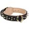 Gorgeous Leather Siberian Husky Collar with Two Rows of Awesome Brass Spikes