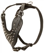 Fancy Spiked Leather Siberian Husky Harness