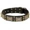 Stylish Leather Husky Collar with Plates and Spikes