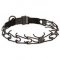 Black Stainless Steel Siberian Husky Pinch Collar with Click Lock Buckle