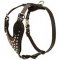 Stylish Leather Siberian Husky Harness with Nickel Plated Cones