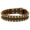 Fashionable Leather Husky Collar with Square Brass Studs