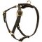 Leather Siberian Husky Harness without Chest Plate