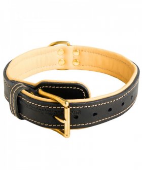 Royal Nappa Padded Hand Made Leather Siberian Husky Collar