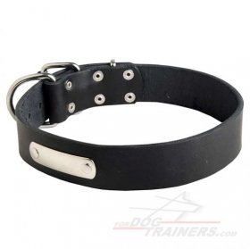 Leather Husky Collar with id Tag