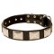 Stylish Leather Husky Collar with Large Plates