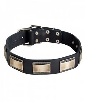 Unique Leather Husky Collar with Large Plates