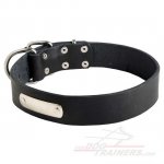 Leather Husky Collar with id Tag
