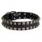 Stylish Leather Husky Collar with Square Studs