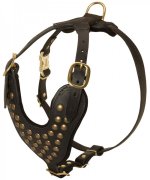 Studded Leather Siberian Husky Harness