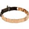 Curogan Neck Tech Siberian Husky Collar with Click Lock Buckle