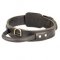 Extra Strong 2 Ply Siberian Husky Leather Collar with Handle