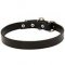 1 inch Wide leather Siberian Husky Collar