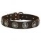 Stylish design leather Siberian Husky collar with conchos