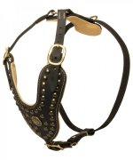 Stylish Leather Siberian Husky Harness with Studs