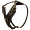 Adjustable Leather Husky Harness for Walking and Training