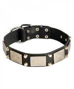 Durable Leather Husky Collar with Cones and Plates
