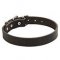 Classic Design Narrow Leather Siberian Husky Collar