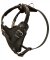 Easily Adjustable Comfy Leather Siberian Husky Harness