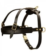 Durable Leather Siberian Husky Harness for Pulling