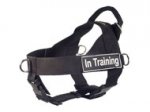 All Weather Nylon Siberian Husky Harness