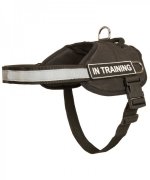 Nylon Husky Harness with Patches and Reflective Trim