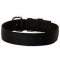 2 Ply Nylon Siberian Husky Dog Collar