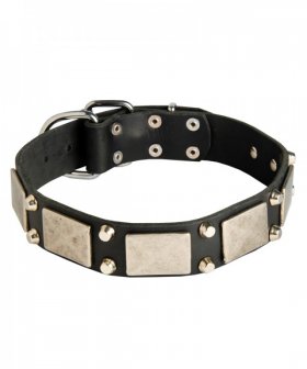 Durable Leather Husky Collar with Cones and Plates