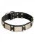 Durable Leather Husky Collar with Cones and Plates