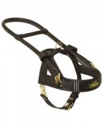 Leather Siberian Husky Harness with Handles for Guide Dogs