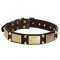 Practical Leather Husky Collar with Plates and Studs