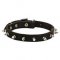 Narrow Spiked Leather Siberian Husky Collar
