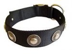Extra Strong Nylon Siberian Husky Collar with Engraved Conchos