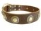 Chic Studded Leather Siberian Husky Collar