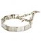 Neck Tech Siberian Husky Pinch Collar for Better Behavior