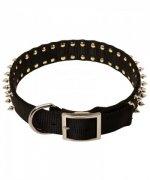 Black Spiked Nylon Siberian Husky Collar