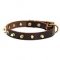Narrow Leather Husky Collar with the Row of Brass Spikes