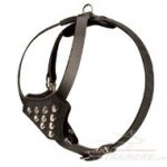 Puppy Size Leather Siberian Husky Harness with Pyramids