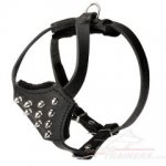 Small Spiked Leather Dog Harness for Siberian Husky Puppies
