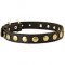Fashionable Leather Siberian Husky Collar with Brass Decor