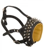 Soft Nappa Padded Leather Husky Muzzle with Spikes and Studs