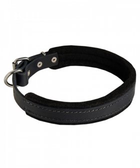 Leather Siberian Husky Collar with Soft Felt Padding