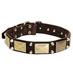 Practical Leather Husky Collar with Plates and Studs