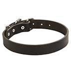 Classic Design Narrow Leather Siberian Husky Collar